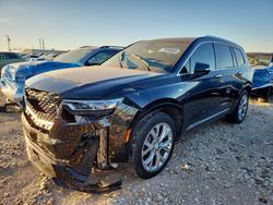 2020 Cadillac 2020 Cadi XT6 for sale in Grand Prairie, TX