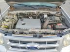 2010 Ford Escape Hybrid