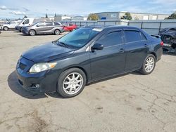Salvage cars for sale from Copart Bakersfield, CA: 2009 Toyota Corolla Base