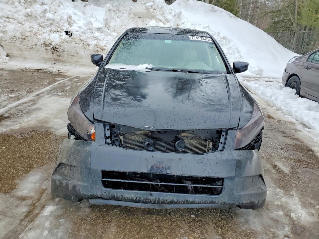 2010 Honda Accord exl