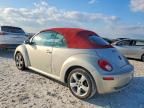 2009 Volkswagen New Beetle Blush Edition