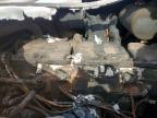 2006 Peterbilt 2006 Pntw 379-Semi Truck