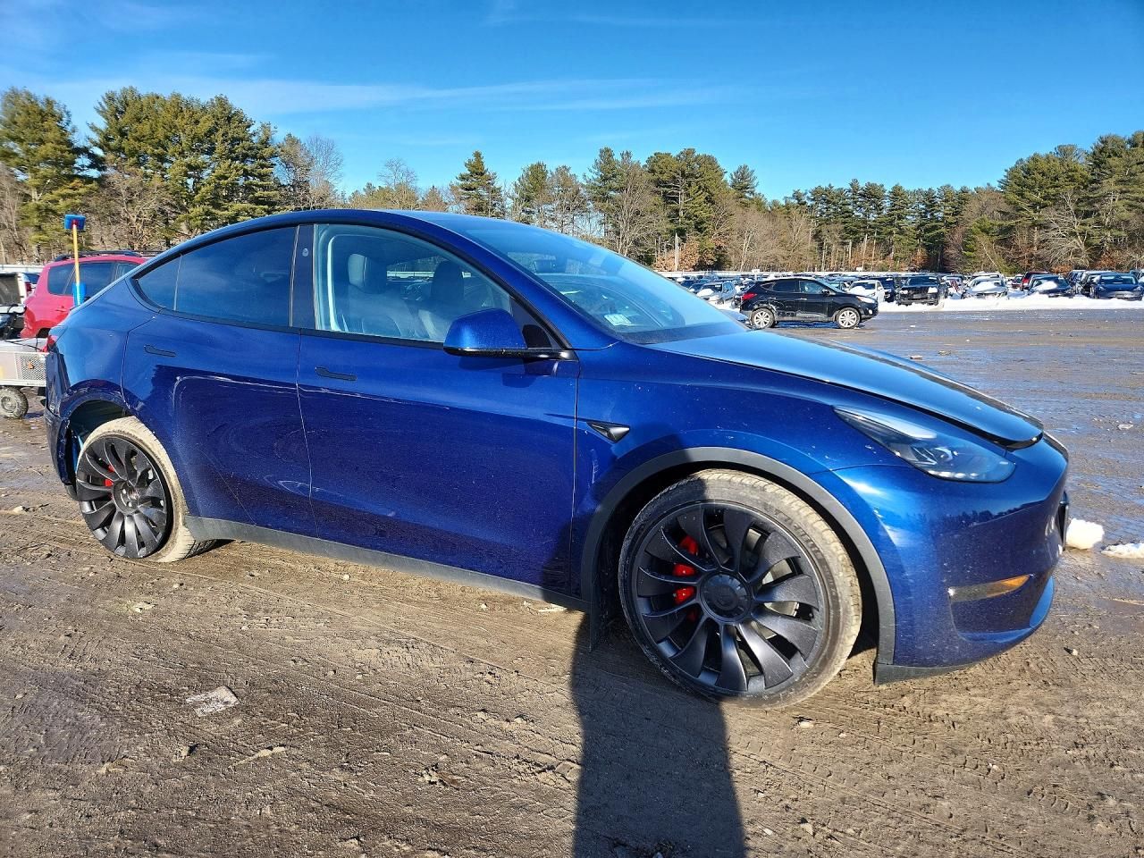 2023 Tesla Model y