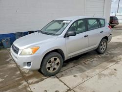 Toyota salvage cars for sale: 2009 Toyota Rav4