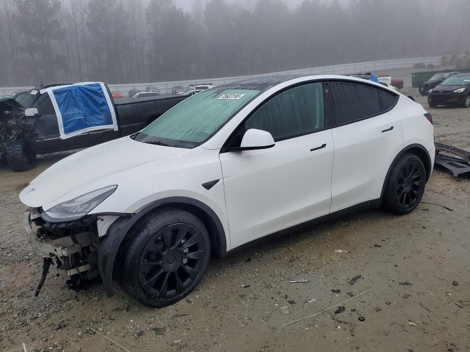 2021 Tesla Model y