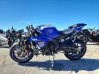 2025 Yamaha YZF1000 C