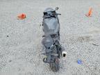 2025 Kawasaki ZX636 K