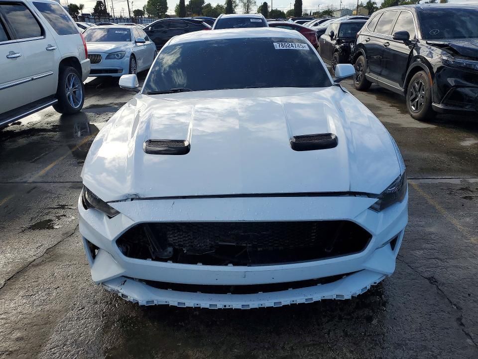 2019 Ford Mustang gt