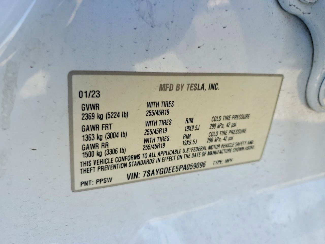 2023 Tesla Model y