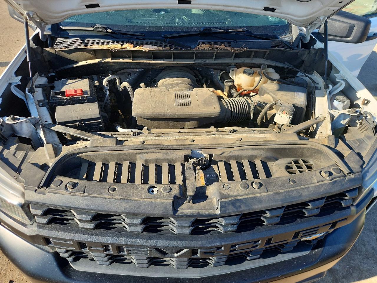 2019 Chevrolet Silverado C1500