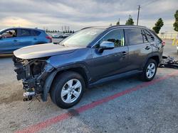 Toyota Rav4 salvage cars for sale: 2019 Toyota Rav4 xle