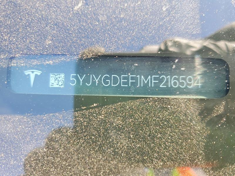 2021 Tesla Model y