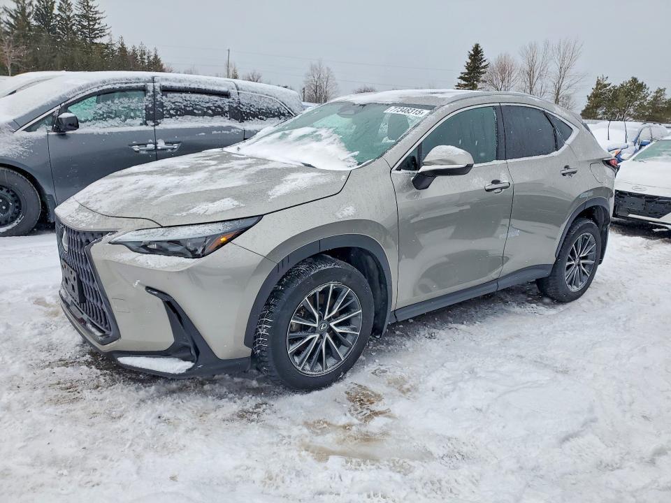 2023 Lexus NX