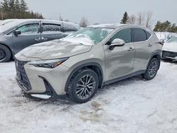 Lexus nx Vehiculos salvage en venta: 2023 Lexus NX