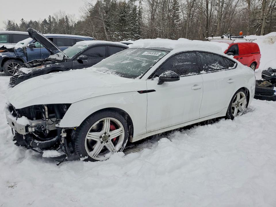 2024 Audi S5 Prestige