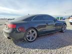 2013 Audi S5 Prestige