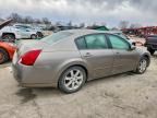 2006 Nissan Maxima se
