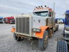 2000 Ptrb 2000 Pntw 379-Semi Truck