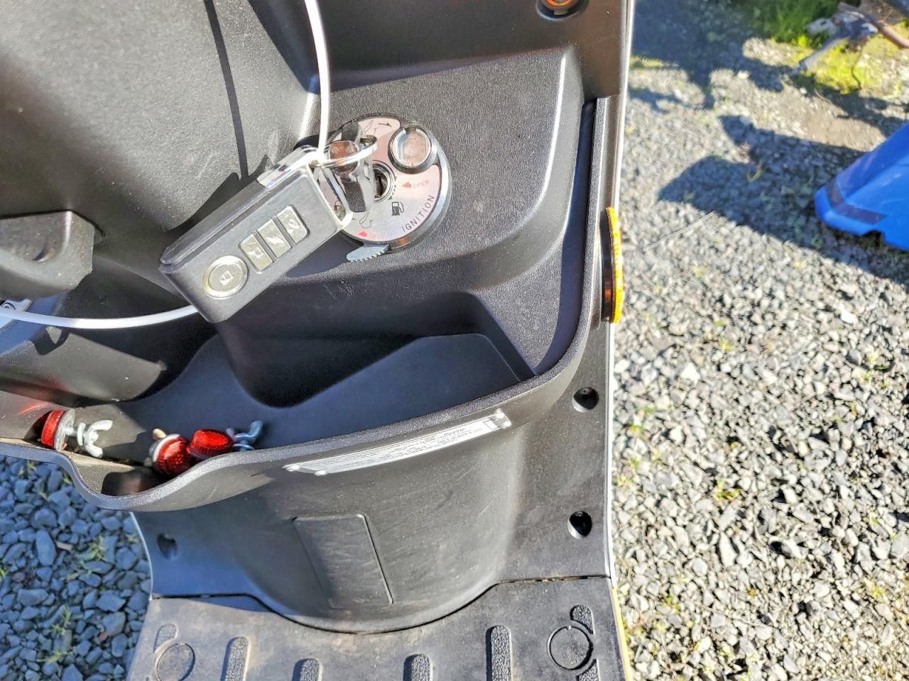 2021 Genuine Scooter Co. Buddy Kick