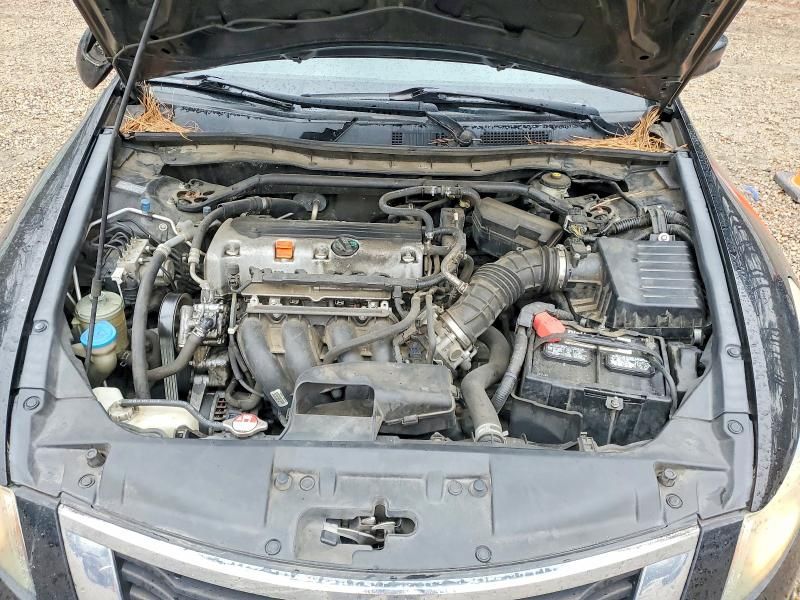 2010 Honda Accord exl