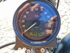 2021 Harley-Davidson XL883 N