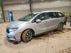 Honda salvage cars for sale: 2024 Honda Odyssey exl