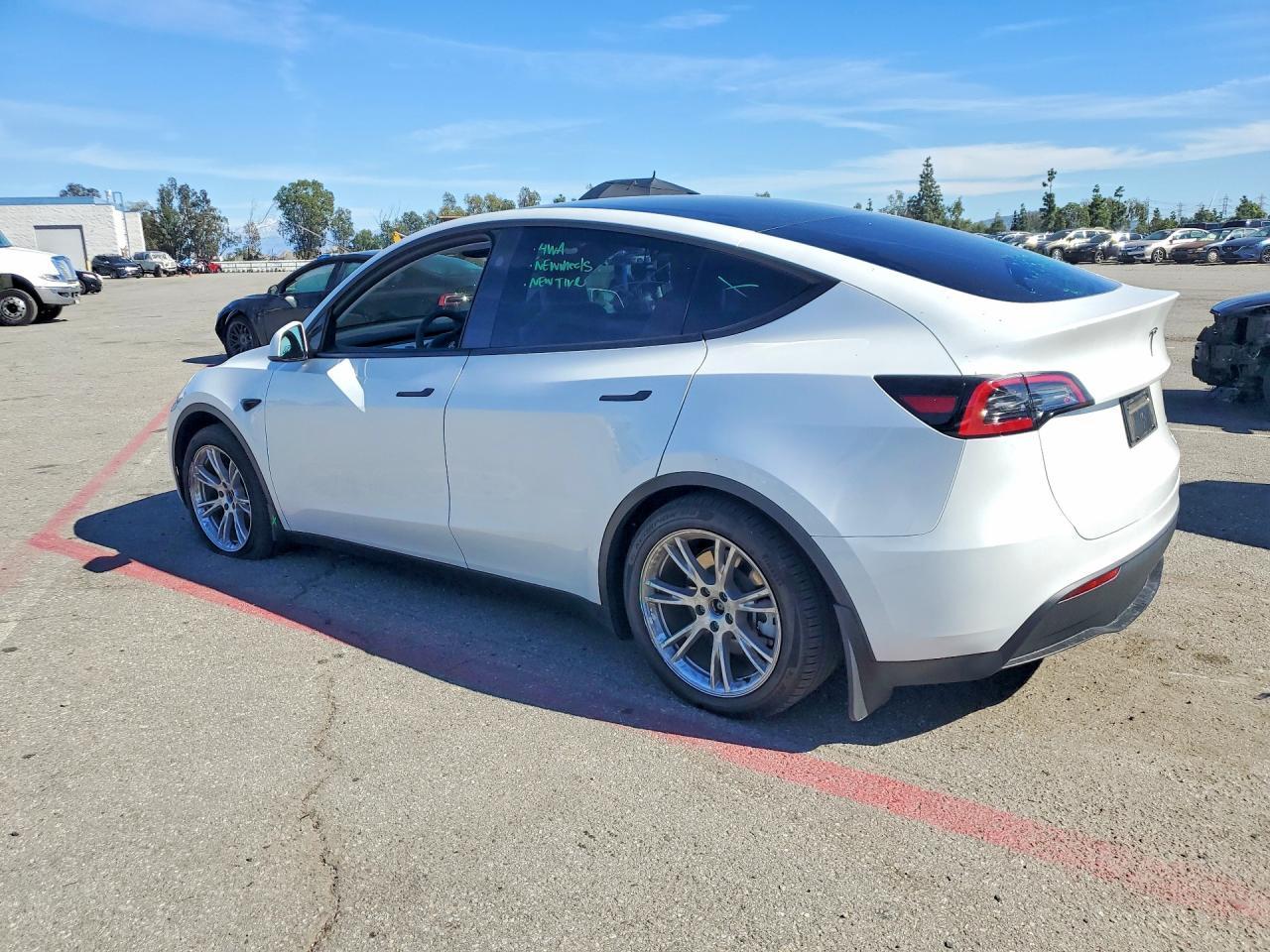 2024 Tesla Model y
