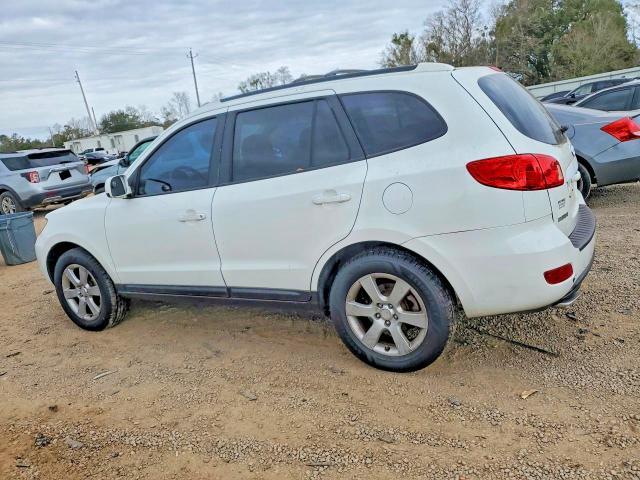 2007 Hyundai Santa fe se
