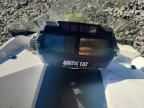 2021 Arctic Cat Arctic Cat