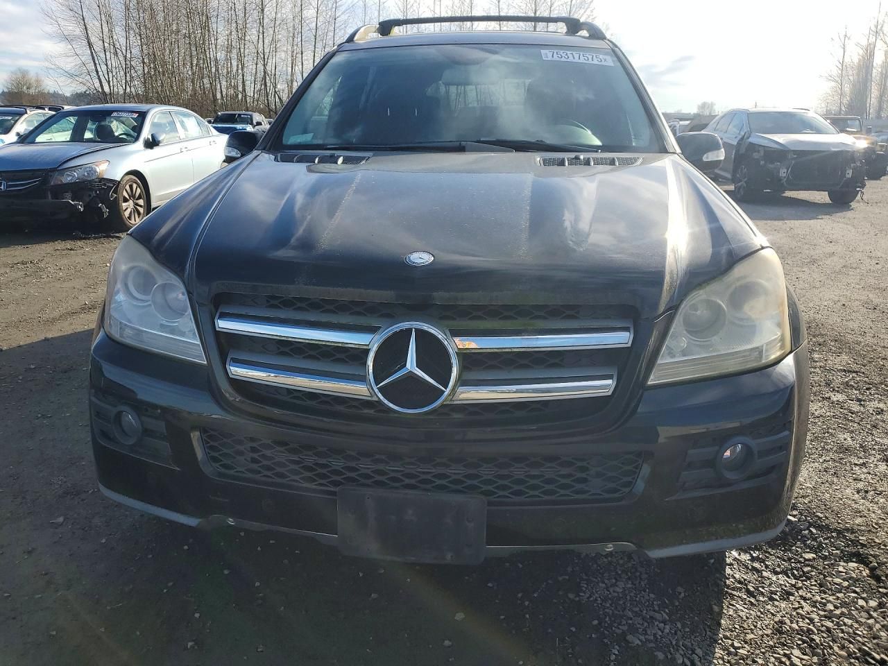 2008 Mercedes-Benz Gl 450 4matic