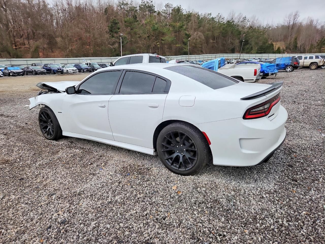 2019 Dodge Charger R/T