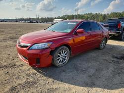 Toyota Camry salvage cars for sale: 2010 Toyota Camry Hybrid