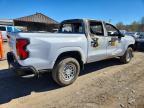 2025 Chev Colorado
