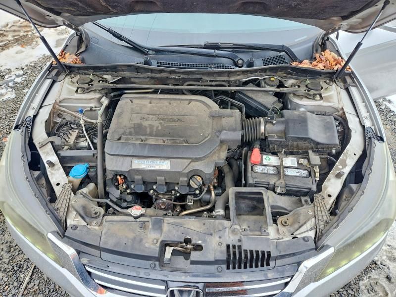 2013 Honda Accord exl