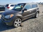 2010 KIA Soul +