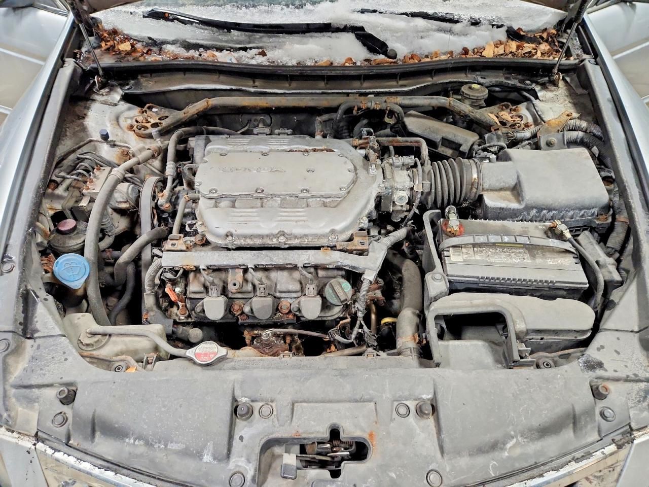 2010 Honda Accord exl