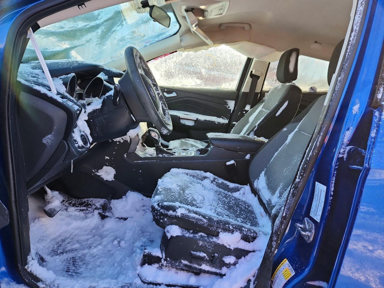 2019 Ford Escape se
