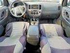 2005 Ford Escape xlt