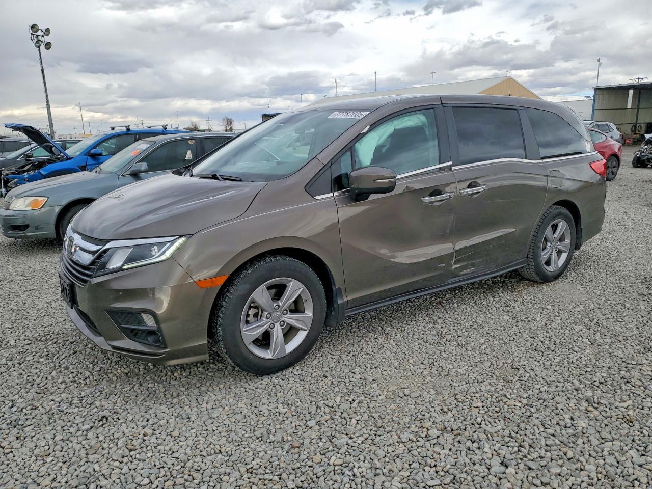 2019 Honda Odyssey exl