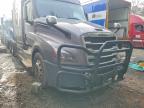2020 Freightliner Cascadia 126