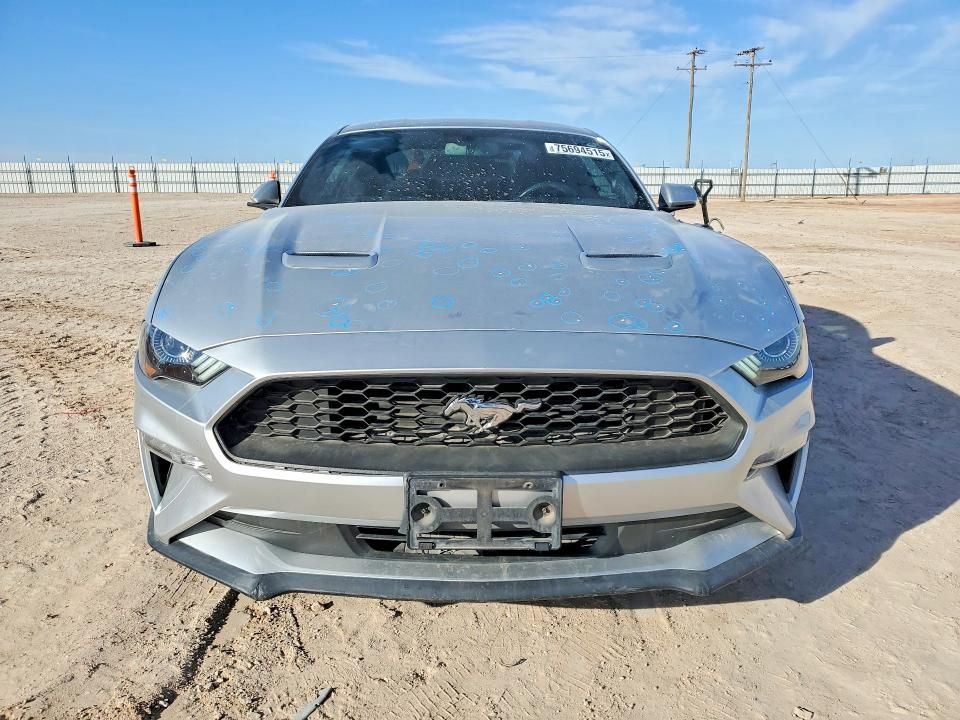 2019 Ford Mustang