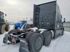2020 Freightliner Cascadia 126 Semi Truck