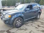 2009 Ford Escape Limited