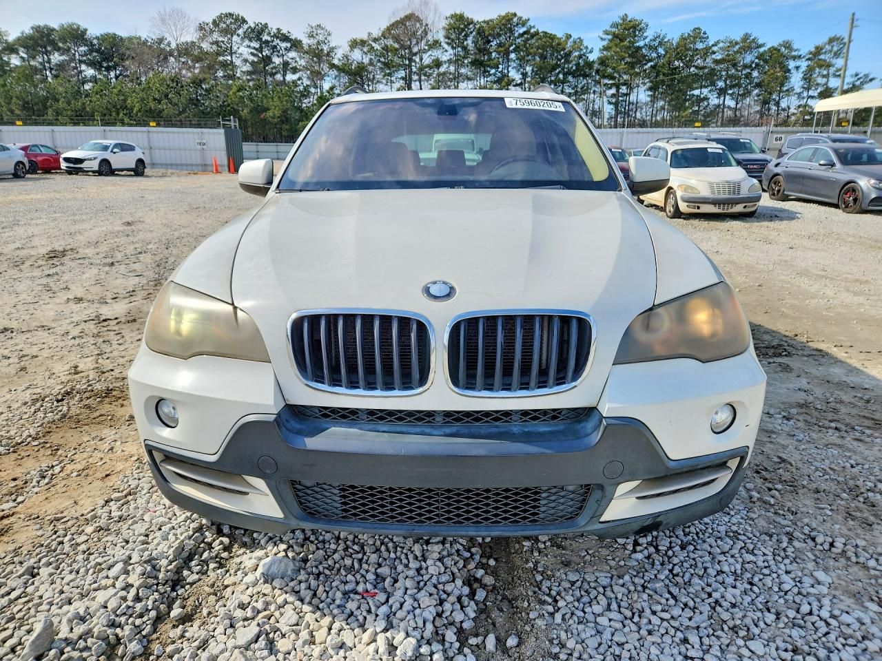 2009 BMW X5 Xdrive30i