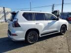 2023 Lexus Gx 460 Luxury