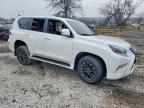 2021 Lexus GX