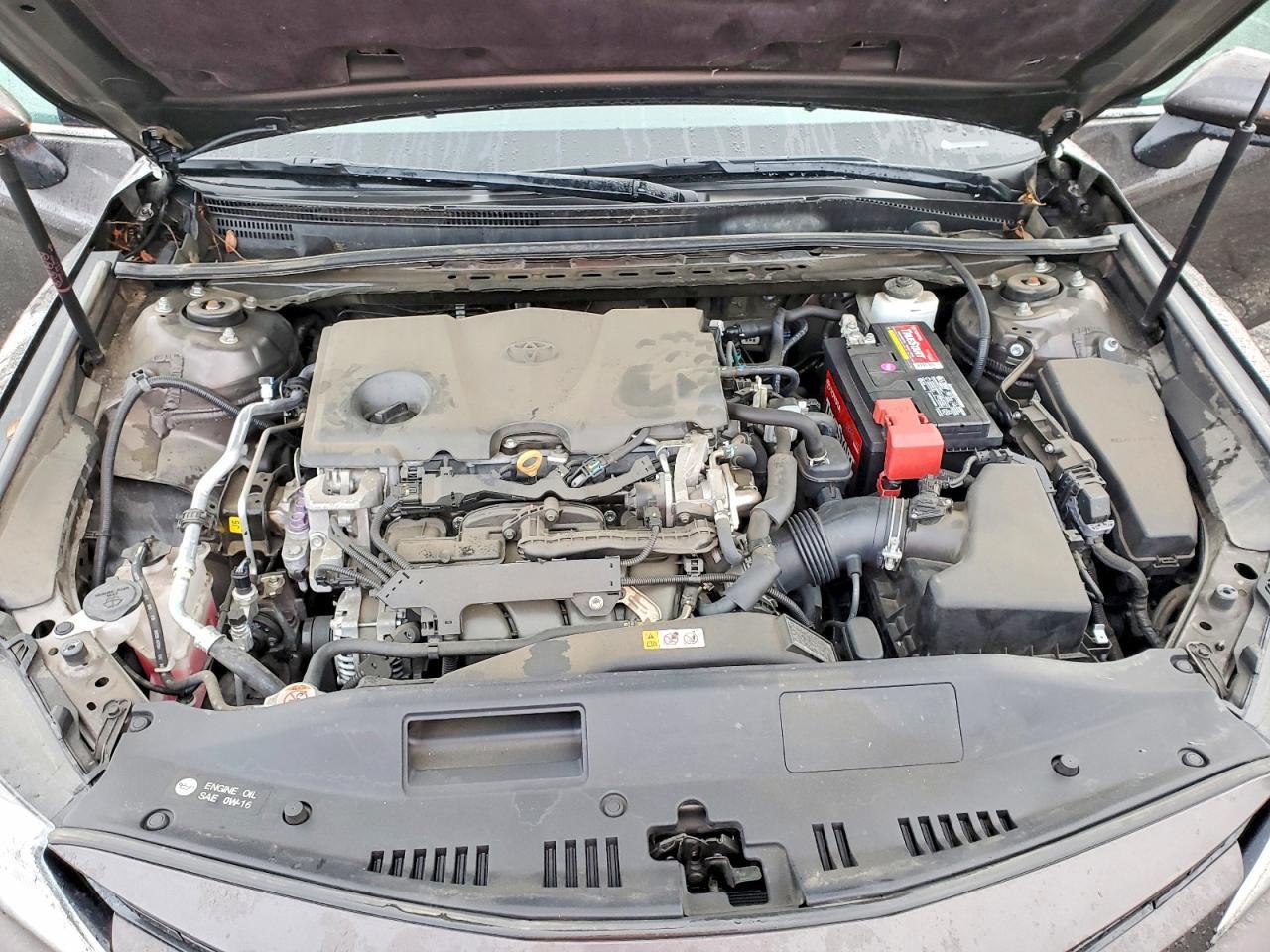 2019 Toyota Camry l