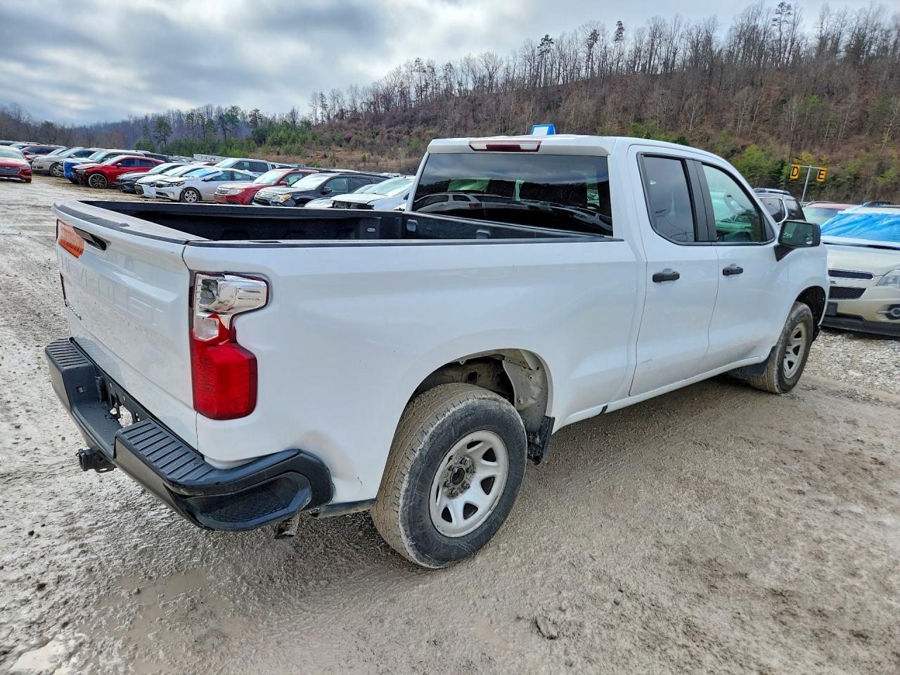 2019 Chevrolet Silverado C1500