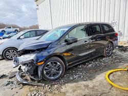 2024 Honda Odyssey Elite for sale in Windsor, NJ