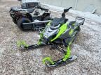 2025 Arctic Cat 858 Riot